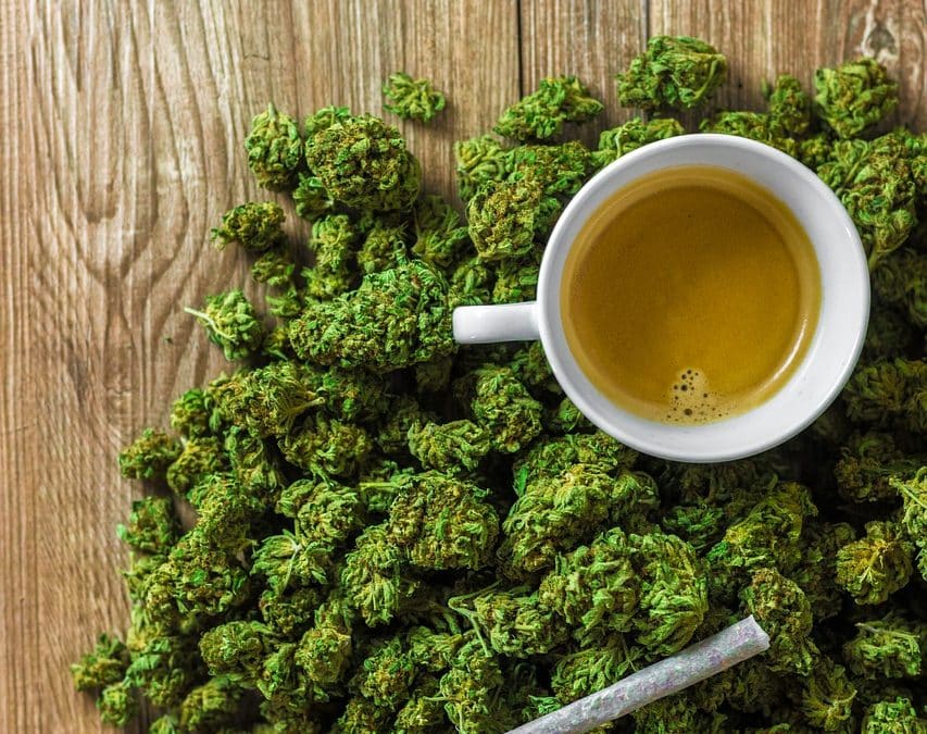 DWI: Detección del daño de la marihuana en los conductores, Parte 2