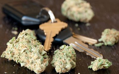 Marijuana DWI and the Law in Texas